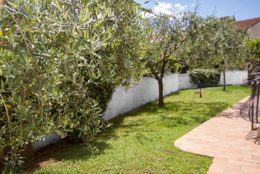 Villa Sveta Eufemija Bed End Breakfast II Rovinj Dış mekan fotoğraf